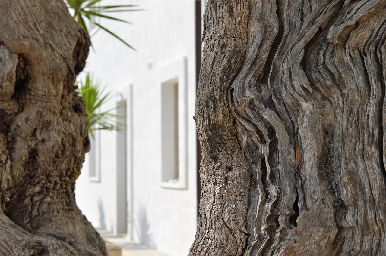 Masseria Torrepietra Monopoli Esterno foto
